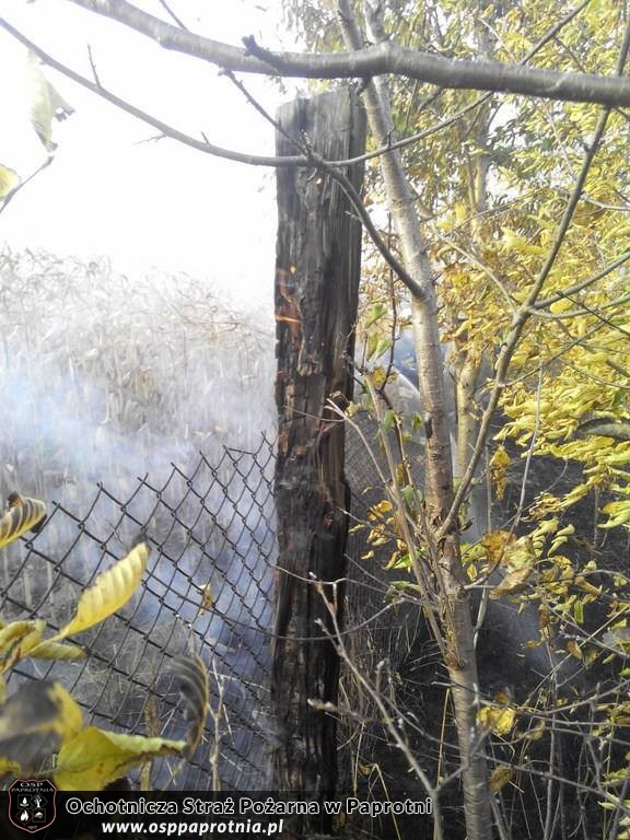 Pożar w miejscowości Maszna