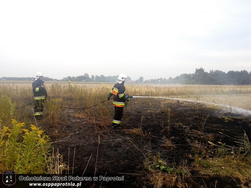 Pożar suchej trawy w Serokach