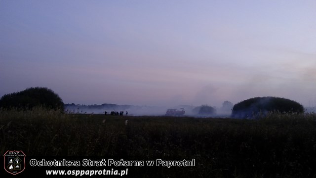 Pożar suchych traw i trzcinowiskw miejscowośći Famułki Brochowskie